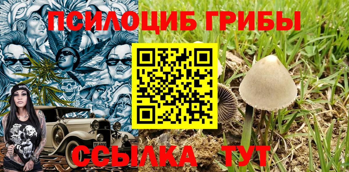 Галлюциногенные грибы мицелий Балашов